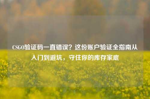 CSGO验证码一直错误？这份账户验证全指南从入门到避坑，守住你的库存家底