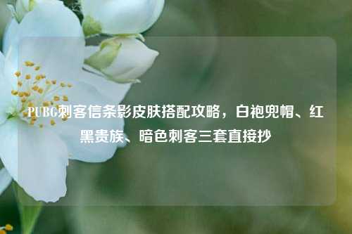 PUBG刺客信条影皮肤搭配攻略,白袍兜帽、红黑贵族、暗色刺客三套直接抄