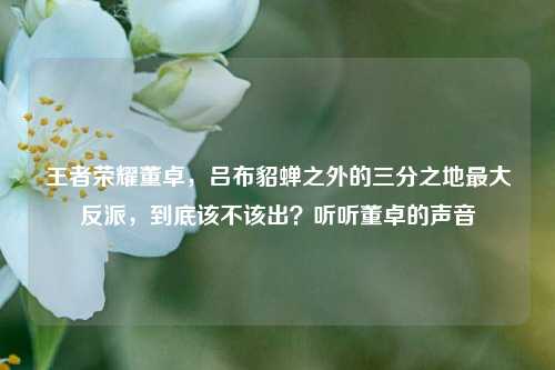 王者荣耀董卓，吕布貂蝉之外的三分之地最大反派，到底该不该出？听听董卓的声音