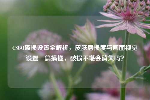 CSGO破损设置全解析，皮肤磨损度与画面视觉设置一篇搞懂，破损不堪会消失吗？