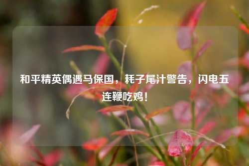 和平精英偶遇马保国，耗子尾汁警告，闪电五连鞭吃鸡！
