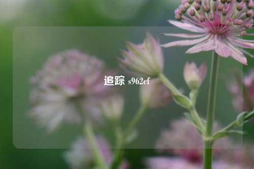 追踪 s962cf