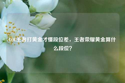 LOL王者打黄金才懂段位差,王者荣耀黄金算什么段位?