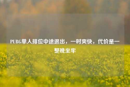 PUBG单人排位中途退出，一时爽快，代价是一整晚坐牢