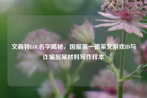 文森特LOL名字揭秘，国服第一德莱文游戏ID与诈骗报案材料写作样本