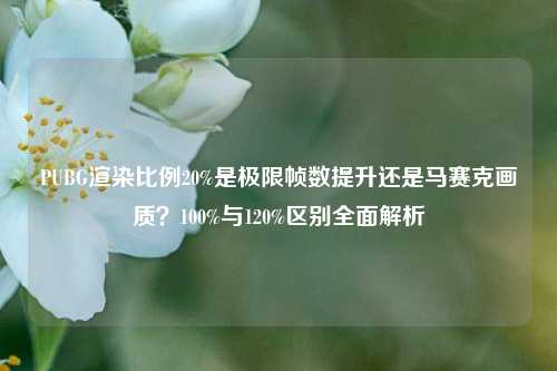PUBG渲染比例20%是极限帧数提升还是马赛克画质?100%与120%区别全面解析