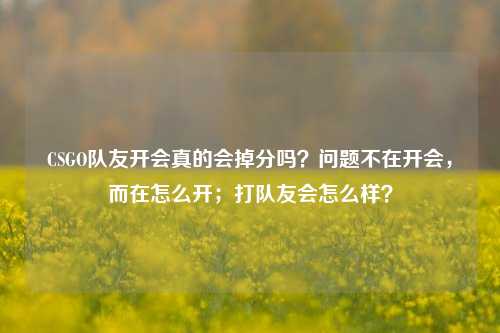 CSGO队友开会真的会掉分吗？问题不在开会，而在怎么开；打队友会怎么样？