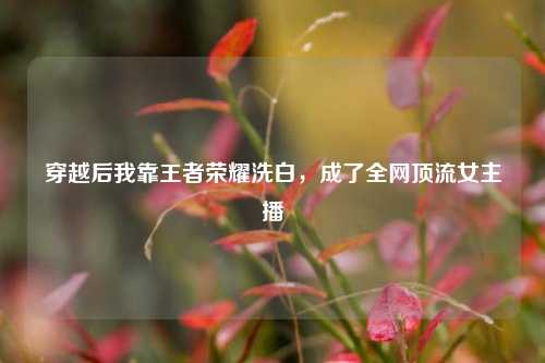 穿越后我靠王者荣耀洗白,成了全网顶流女主播