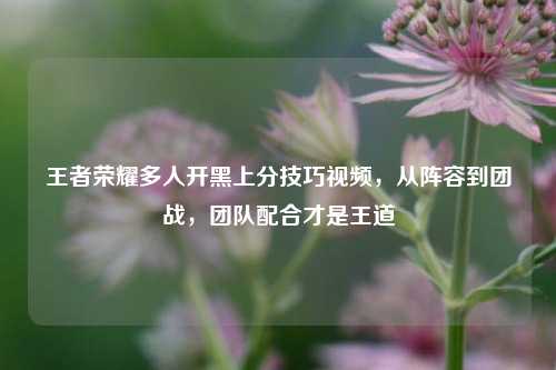 王者荣耀多人开黑上分技巧视频,从阵容到团战,团队配合才是王道