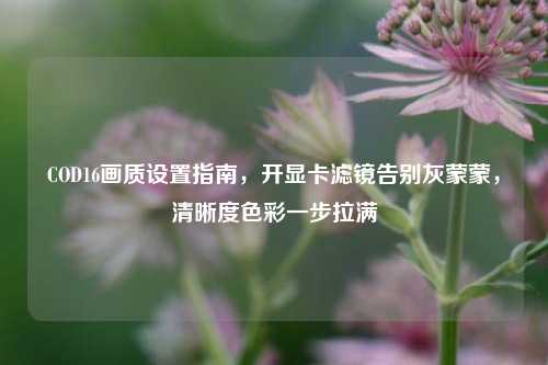 COD16画质设置指南，开显卡滤镜告别灰蒙蒙，清晰度色彩一步拉满