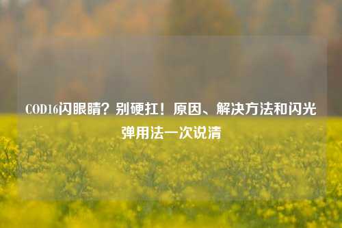 COD16闪眼睛？别硬扛！原因、解决方法和闪光弹用法一次说清