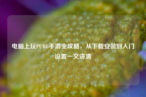 电脑上玩PUBG手游全攻略，从下载安装到入门设置一文讲清