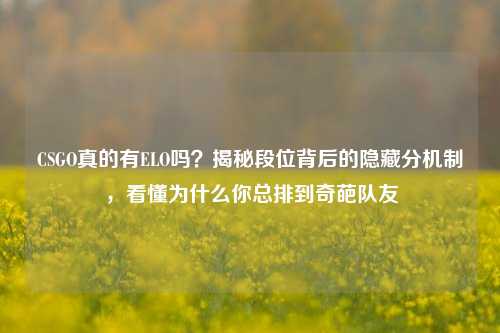 CSGO真的有ELO吗？揭秘段位背后的隐藏分机制，看懂为什么你总排到奇葩队友