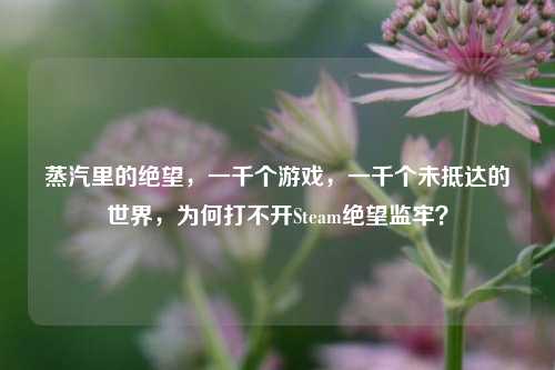 蒸汽里的绝望,一千个游戏,一千个未抵达的世界,为何打不开Steam绝望监牢?