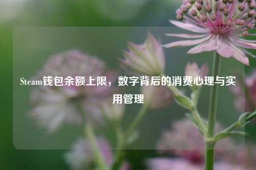 Steam钱包余额上限，数字背后的消费心理与实用管理