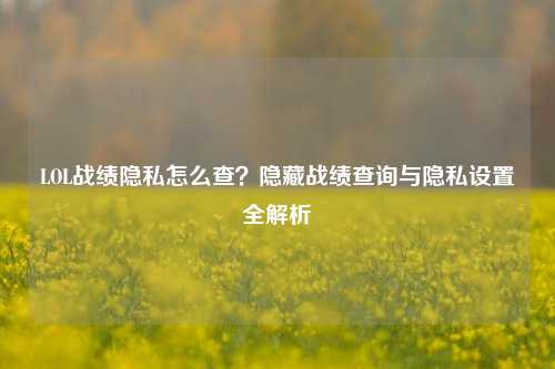 LOL战绩隐私怎么查?隐藏战绩查询与隐私设置全解析