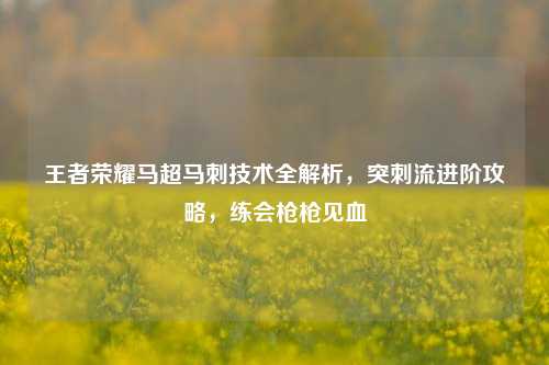 王者荣耀马超马刺技术全解析,突刺流进阶攻略,练会枪枪见血