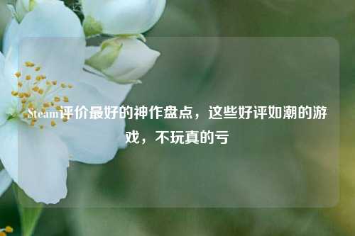 Steam评价最好的神作盘点,这些好评如潮的游戏,不玩真的亏