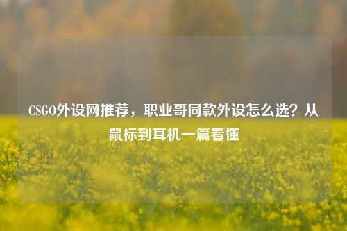 CSGO外设网推荐，职业哥同款外设怎么选？从鼠标到耳机一篇看懂