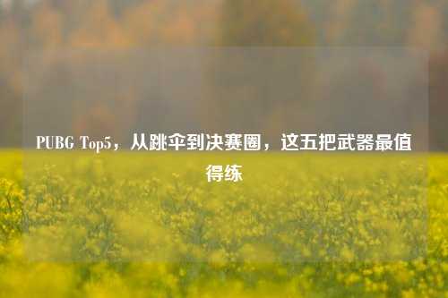 PUBG Top5,从跳伞到决赛圈,这五把武器最值得练