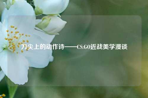刀尖上的动作诗——CS:GO近战美学漫谈
