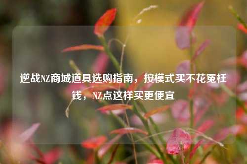 逆战NZ商城道具选购指南,按模式买不花冤枉钱,NZ点这样买更便宜