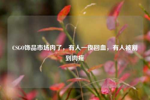 CSGO饰品市场肉了,有人一夜回血,有人被割到肉疼