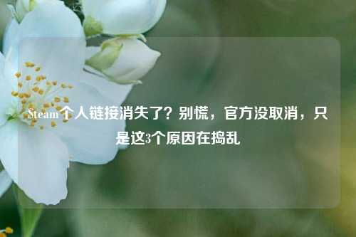 Steam个人链接消失了？别慌，官方没取消，只是这3个原因在捣乱