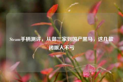 Steam手柄测评,从御三家到国产黑马,这几款闭眼入不亏