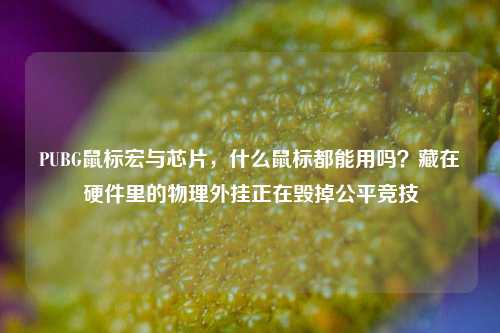 PUBG鼠标宏与芯片,什么鼠标都能用吗?藏在硬件里的物理外挂正在毁掉公平竞技