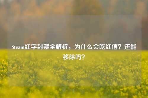 Steam红字封禁全解析,为什么会吃红信?还能移除吗?