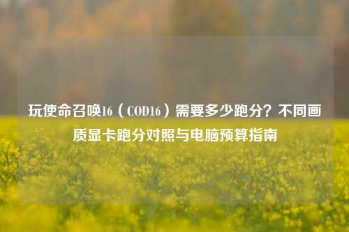 玩使命召唤16(COD16)需要多少跑分?不同画质显卡跑分对照与电脑预算指南