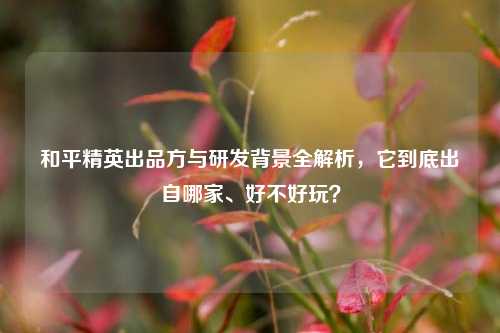 和平精英出品方与研发背景全解析,它到底出自哪家、好不好玩?