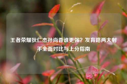 王者荣耀狄仁杰孙尚香谁更强?发育路两大射手全面对比与上分指南