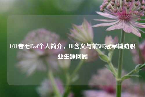 LOL卷毛Fzzf个人简介,ID含义与前WE冠军辅助职业生涯回顾